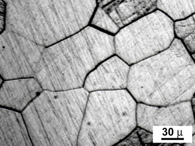 Metal crystal grains