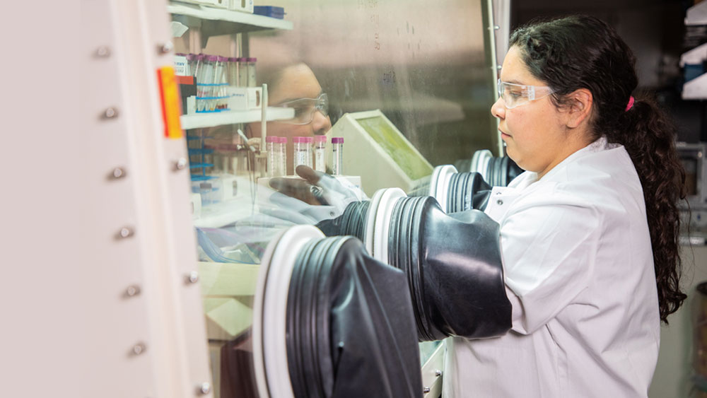 Female student with arms in glovebox and looking at vials