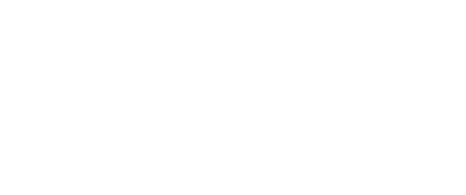 Texas America 250